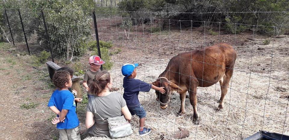 Le Gite Du Koniambo Voh Εξωτερικό φωτογραφία